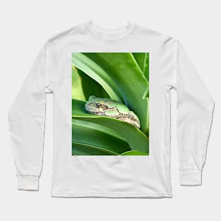 Frog Bliss Long Sleeve T-Shirt